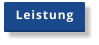 Leistung